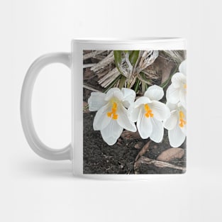 White Crocus Mug